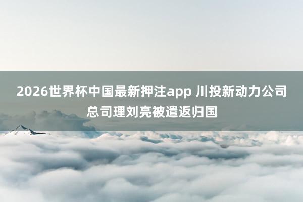 2026世界杯中国最新押注app 川投新动力公司总司理刘亮被遣返归国