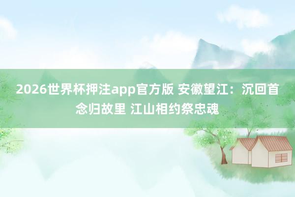 2026世界杯押注app官方版 安徽望江：沉回首念归故里 江山相约祭忠魂