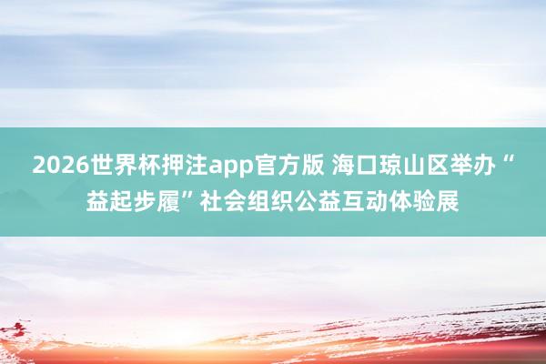 2026世界杯押注app官方版 海口琼山区举办“益起步履”社会组织公益互动体验展