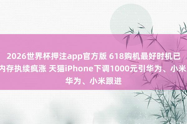 2026世界杯押注app官方版 618购机最好时机已到! 内存执续疯涨 天猫iPhone下调1000元引华为、小米跟进