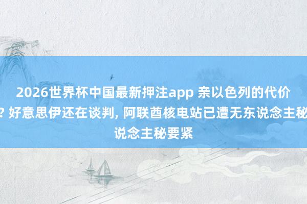2026世界杯中国最新押注app 亲以色列的代价来了? 好意思伊还在谈判， 阿联酋核电站已遭无东说念主秘要紧