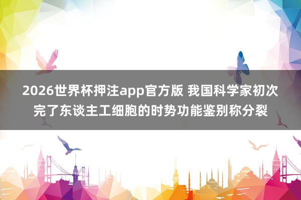 2026世界杯押注app官方版 我国科学家初次完了东谈主工细胞的时势功能鉴别称分裂