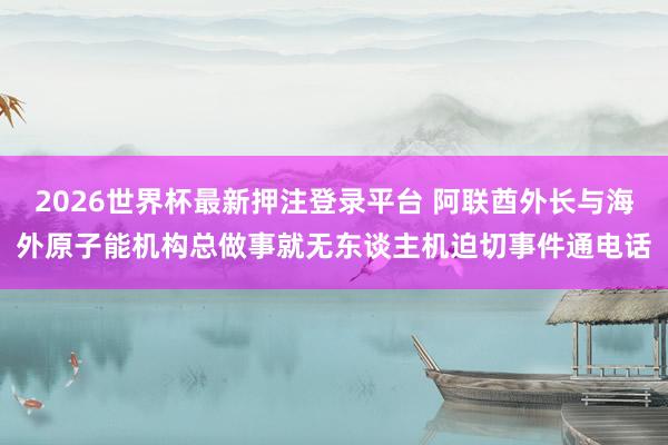2026世界杯最新押注登录平台 阿联酋外长与海外原子能机构总做事就无东谈主机迫切事件通电话