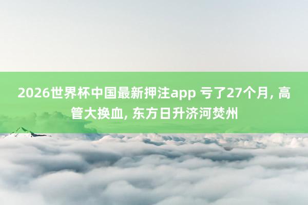 2026世界杯中国最新押注app 亏了27个月， 高管大换血， 东方日升济河焚州