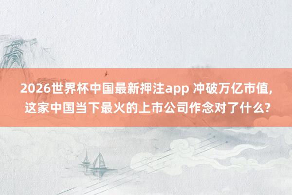 2026世界杯中国最新押注app 冲破万亿市值， 这家中国当下最火的上市公司作念对了什么?