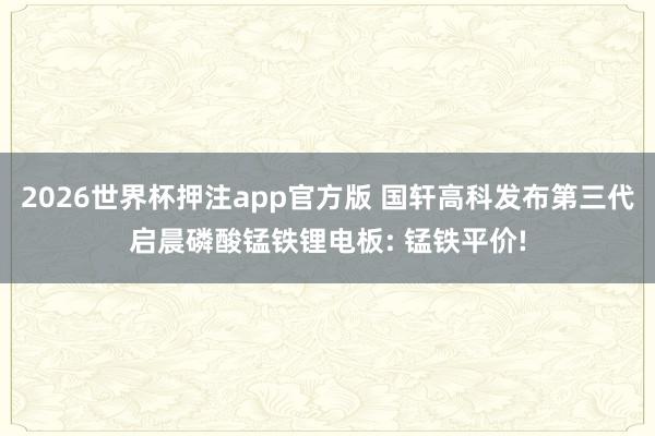 2026世界杯押注app官方版 国轩高科发布第三代启晨磷酸锰铁锂电板: 锰铁平价!