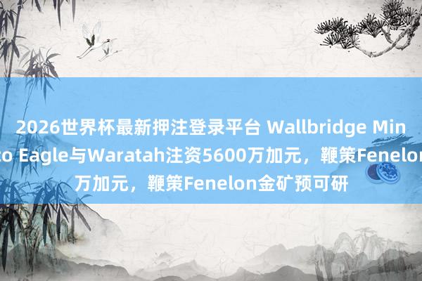 2026世界杯最新押注登录平台 Wallbridge Mining获Agnico Eagle与Waratah注资5600万加元，鞭策Fenelon金矿预可研