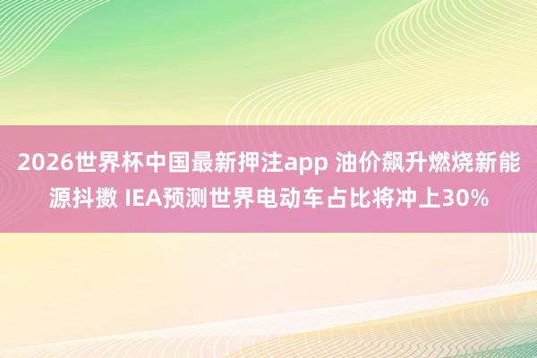 2026世界杯中国最新押注app 油价飙升燃烧新能源抖擞 IEA预测世界电动车占比将冲上30%