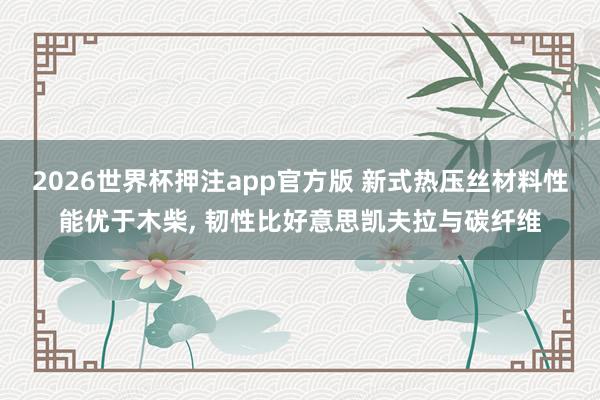 2026世界杯押注app官方版 新式热压丝材料性能优于木柴， 韧性比好意思凯夫拉与碳纤维