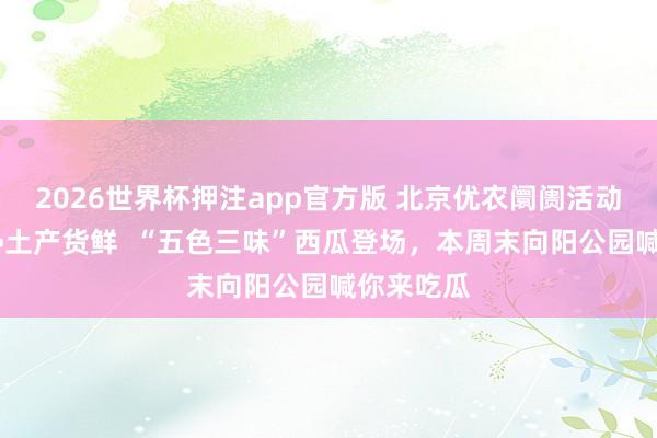 2026世界杯押注app官方版 北京优农阛阓活动｜京郊产•土产货鲜  “五色三味”西瓜登场，<a href=