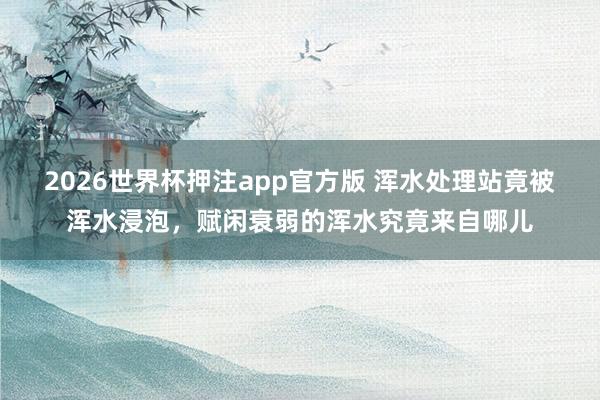 2026世界杯押注app官方版 浑水处理站竟被浑水浸泡，赋闲衰弱的浑水究竟来自哪儿