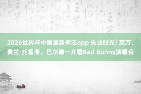 2026世界杯中国最新押注app 失业时光! 莱万、费兰·托雷斯、巴尔德一齐看Bad Bunny演唱会