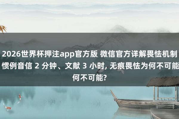 2026世界杯押注app官方版 微信官方详解畏怯机制: 惯例音信 2 分钟、文献 3 小时， 无痕畏怯为何不可能?