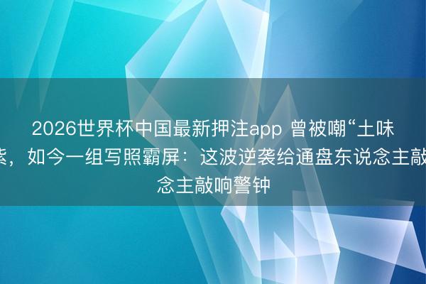 2026世界杯中国最新押注app 曾被嘲“土味”的杨紫，如今一组写照霸屏：这波逆袭给通盘东说念主敲响警钟