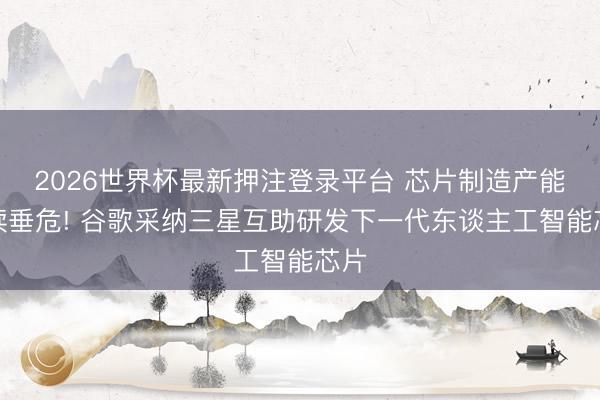 2026世界杯最新押注登录平台 芯片制造产能捏续垂危! 谷歌采纳三星互助研发下一代东谈主工智能芯片