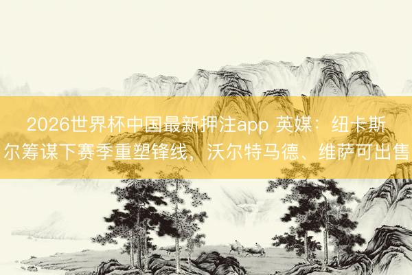 2026世界杯中国最新押注app 英媒：纽卡斯尔筹谋下赛季重塑锋线，沃尔特马德、维萨可出售